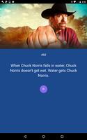 Poster Chuck Norris Jokes