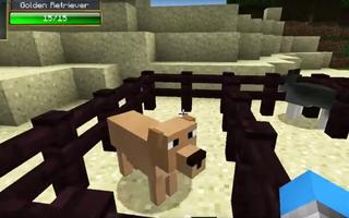 Pets Minecraft Ideas HD ポスター