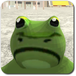 Amazing Frog In Moon