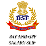 BSF Pay And Gpf - Salary Slip For BSF 2018 أيقونة