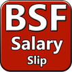 BSF- SalarySlip & GPF/CPF