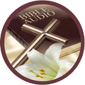 Bible Audio