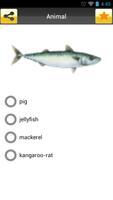 EnglishWord ảnh chụp màn hình 3