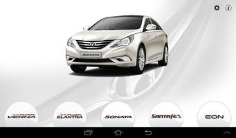 Experience Hyundai Cartaz