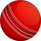 Ball 2 Ball Live Cricket Score アイコン