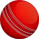 Ball 2 Ball Live Cricket Score APK