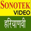 Sonotek Video