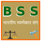 BSS иконка