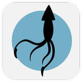 BSQUID icon