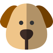 Walkinator