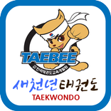 새천년태비태권도체육관
