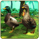 Duck Family Simulator 3D APK