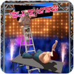 Tag Team Ladder Wrestling 2k18
