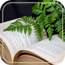 El Libro De La Vida APK