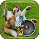 Dog toy sound APK