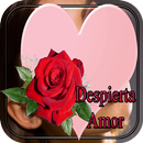 Te Amo APK