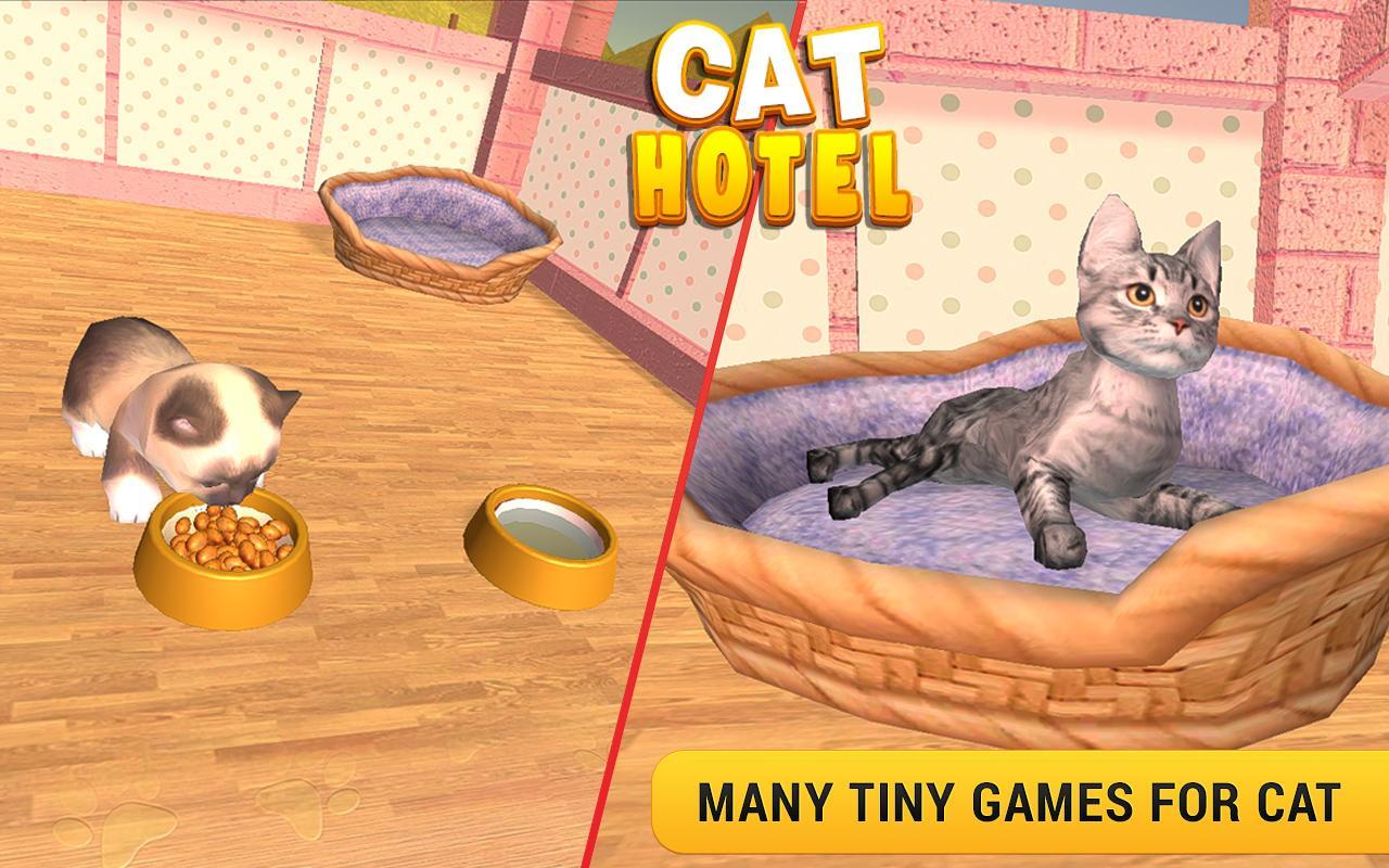 Cat game играть. Игры для кошек. Кот отель игра. Отель для кошек игра. Игра приют для кошек.