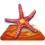 Live Water Live Wallpaper