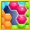 ”Hexa Puzzle Block