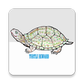 Turtle Reward - Free Cash !