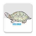 Turtle Reward - Free Cash ! icône