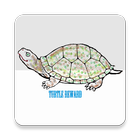 Turtle Reward - Free Cash ! icon