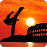 Taekwon Hero Battle Arena