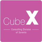 CubeX icône