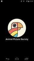 Animal Picture Society Affiche