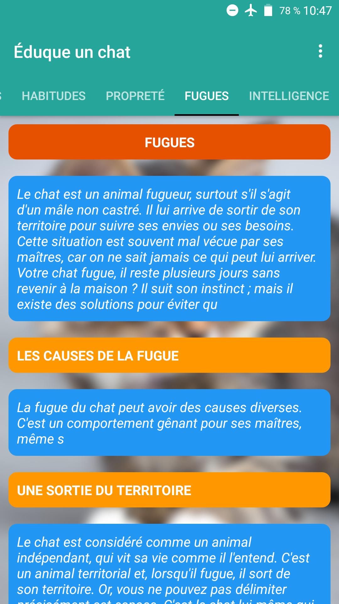 Adopte Un Chat For Android Apk Download Adopte Un Chat For Android Apk Download
