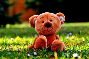 Cuddly Toys Kids Puzzle Ekran Görüntüsü 1