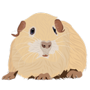 Guinea pig flashlight APK