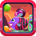 Zebra Fish