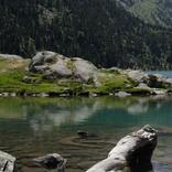 Lac