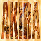 Akira Wallpaper icône