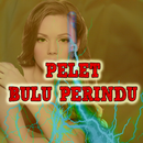 Tuntunan Pelet Bulu Perindu APK