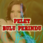 Tuntunan Pelet Bulu Perindu ícone