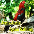 Jenis Ayam Sabung ícone