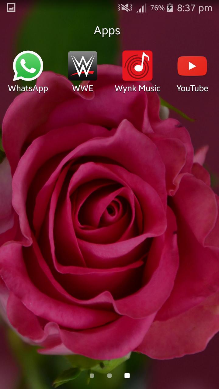 Live Rose Wallpaper APK für Android herunterladen