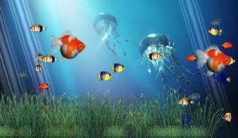 Coral Reef Aquarium Wallpaper Plakat