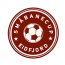 Eidfjord Småbanecup APK