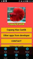 Cupang Hias Cantik Affiche