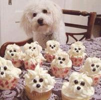 Idéias Decoração Cupcake imagem de tela 3