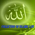 Collection of Islamic Law icon