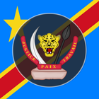 DR Congo Constitution icône