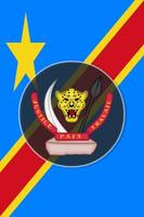 DR Congo Constitution 海报