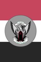 2 Schermata Sudan Constitution