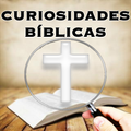 Bible Facts