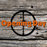 Opening Day أيقونة