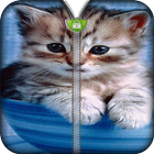 Cute Kitten Zipper Lock icon